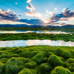 БУУ жер бетинде болуп көрбөгөндөй катастрофа болорун эскертти