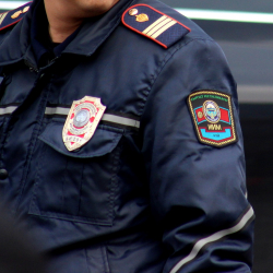 Президент участкалык милиция кызматкерлерине ишкер чарбаларды текшерүү укугун берүү демилгесине каршы