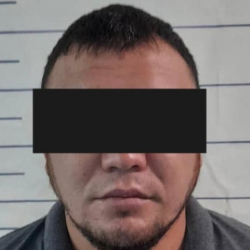 ВИДЕО - Хулигана, ударившего калькулятором девушку, посадили за решётку