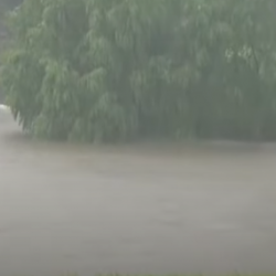 ВИДЕО - Катуу жааган жамгырдан 1 адам каза болду