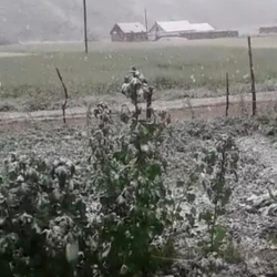 Ош: Алайкуу өрөөнүнө кар жаады