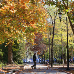 Августтун аягында кыргызстандыктар 4 күн катары менен эс алышат