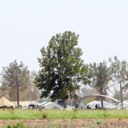 ВИДЕО – Узбекистан принял беженцев из Афганистана. На границе развернули палаточный лагерь