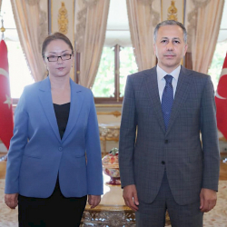 Лира Сыдыкова Стамбул шаарынын губернатору менен кызматташтыкты талкуулады