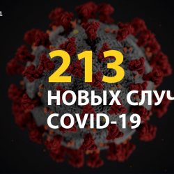 На утро 29 августа выявлены 213 новых случаев COVID-19