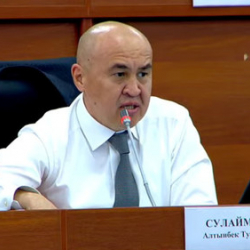 Алтынбек Сулайманов: 