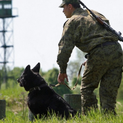 Тажикстандын атайын кызматы Кыргызстандын жаранын кармап кетти