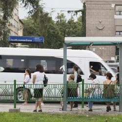 Базарком “Ишеним” партиясына ишенсек жол кире кымбаттары бышык