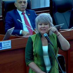 Карамушкина требует привлечь к ответственности сторонников нынешнего Президента