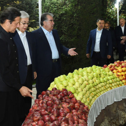 ФОТО - Саммиты ОДКБ и ШОС. Президенты собрались на неформальный банкет