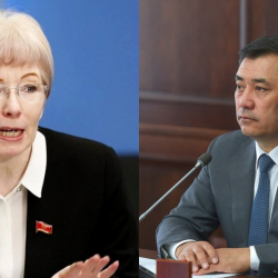 Евгения Строкова: «Эми жакында президент «домкомдорду» дагы дайындап баштайт»