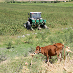 Узбекистан намерен арендовать у России до 1 млн га земель