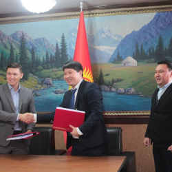 В Кыргызстане появится «Мясной халал-парк». Только на разработку проекта потратят около $390,7 тыс.