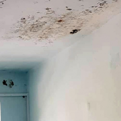 Щели, грязь, плесень. Аппарат омбудсмена раскритиковал Минздрав из-за состояния больницы в Сузаке