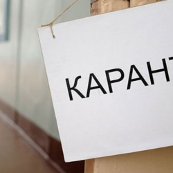 Орус президенти 28-октябрдан баштап карантин жарыялады