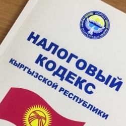 Жогорку Кеңеш Салык кодексинин жаңы концепциясын жактырды