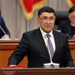 Министрдин орун басарынын камалышы боюнча Айыл чарба министрлиги өз алдынча иликтөө жүргүзөт