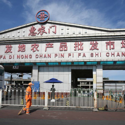 Кытайда коронавирустун жаңы эпидемиясы катталды