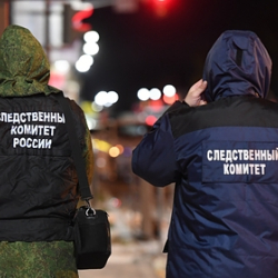 Россиянка расчленила сожителя и попыталась спрятать его в холодильнике