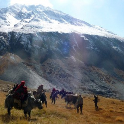 Парламентте Тажикстандагы этникалык кыргыздарды Кыргызстанга кайтаруу маселеси көтөрүлдү