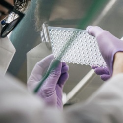 АКШ Кыргызстанды COVID жугуу коркунучу аз өлкөлөрдүн катарына киргизди