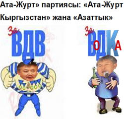 “Ата-Журт” партиясы канчага бөлүндү