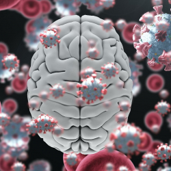 Иликтөө: COVID-19 мээнин клеткаларын жабыркатпайт