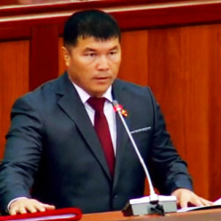 Чириген парламенттик саясат