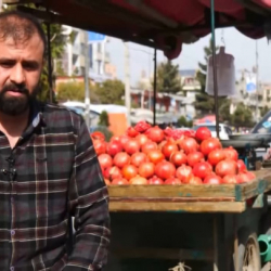 Жумушсуз журналисттер Ооганстанда эмне кылып жүргөнү белгилүү болду