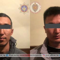 ВИДЕО - Бишкек—Ош жолунда «Хонда-Фит» менен 7,4 кг гашиш ташып баратышкан