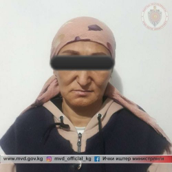 ВИДЕО - В Джалал-Абаде милиционеры предотвратили продажу новорожденного ребенка