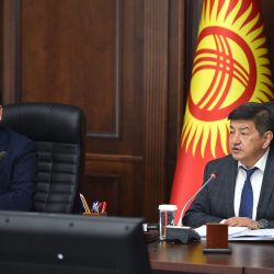 Акылбек Жапаров: Запретить торговлю углем частными перевозчиками на обочинах дорог по завышенной цене