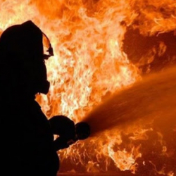 ВИДЕО - Бишкектин чок ортосунда тез татым өрттөндү