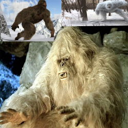 Киши кийик Кыргызстанда да барбы?