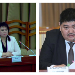 Салык кызматынын башчысынын 2 орун басары жумуштан бошотулду