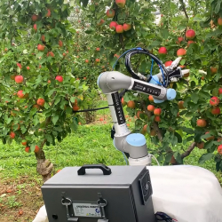 ВИДЕО - Роботизированный сборщик яблок помогает фермерам Китая