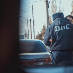 Унаа салыгын төлөбөгөндөргө 739 миң сом айып салынды