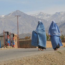Аялдар катышкан телесериалдарды көрсөтүүгө Талибан тыюу салды