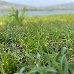 ЮНЕСКО Кыргызстан тарабынан демилгеленген тоо мөңгүлөрүн сактоо жөнүндө резолюцияны кабыл алды