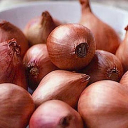 Дарыгер кимдер пияз жебеши керектигин айтты