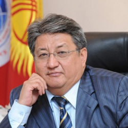 Алмазбек Акматалиев: «Мыйзам бузуулары аныкталса, мандат алгандар да жазаланышы керек»