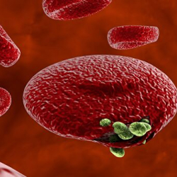 Коронавирусту эки секундада жок кыла турган ыкма табылды