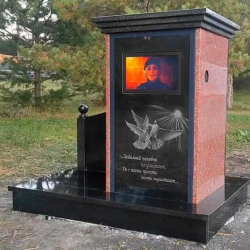 Орусияда телевизору бар алгачкы көрүстөн пайда болду