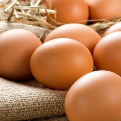 Муздаткычка салба. Кытайлар жумуртканы сактоонун төрт жолун айтты