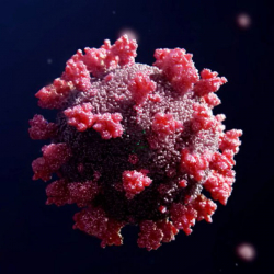 Дүйнөнүн 63 өлкөсүндө катталган 