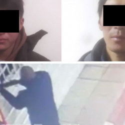 Курал такап, май куючу жайдан акча карактап кетти