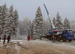 ВИДЕО - Главную новогоднюю ель России везут в Кремль
