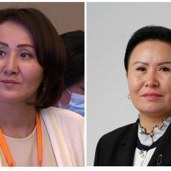 Президенттин катчысы Айгүл Жапарова менен Оргалчанын байланышы боюнча комментарий берди