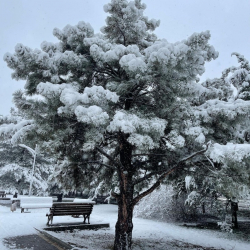 СҮРӨТ - Кыш чилдеси кандай болот? Кызык экен окуп кой...