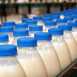 Кыргызстанда 11 айда 1582,7 миң тонна сүт өндүрүлгөн